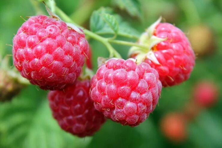 Himbeeren zur Potenzsteigerung